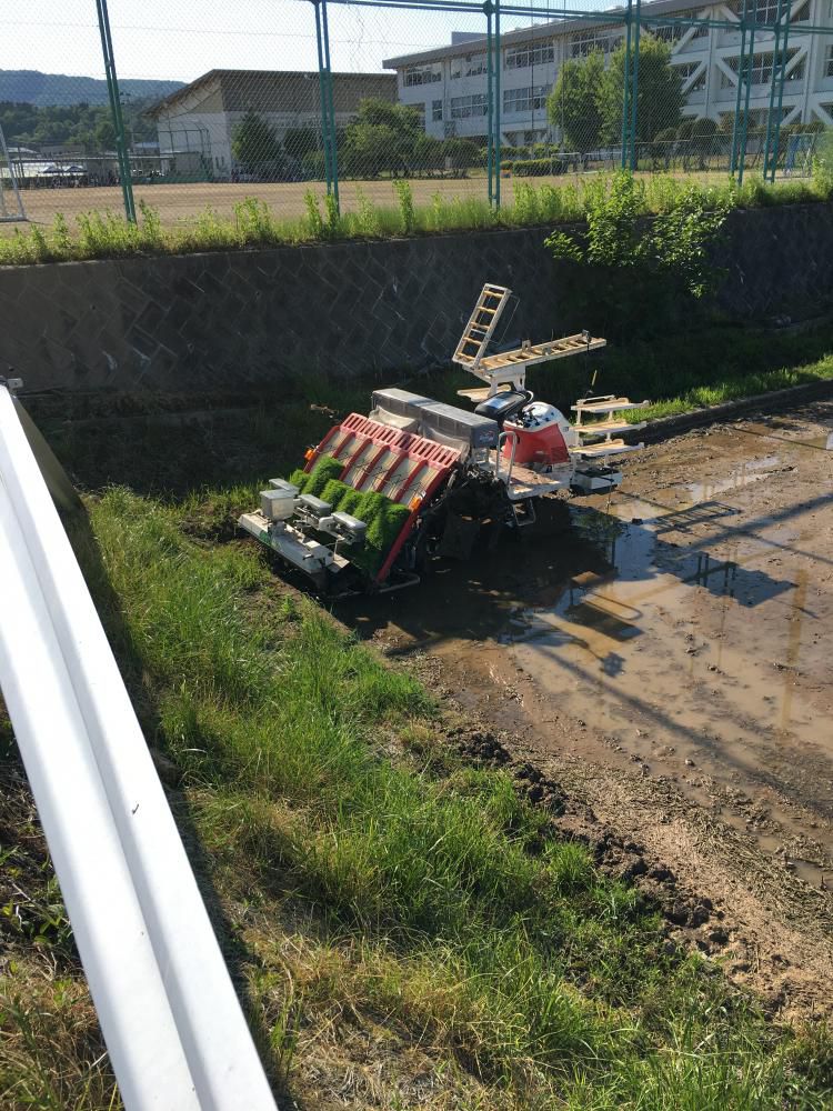 田植え！