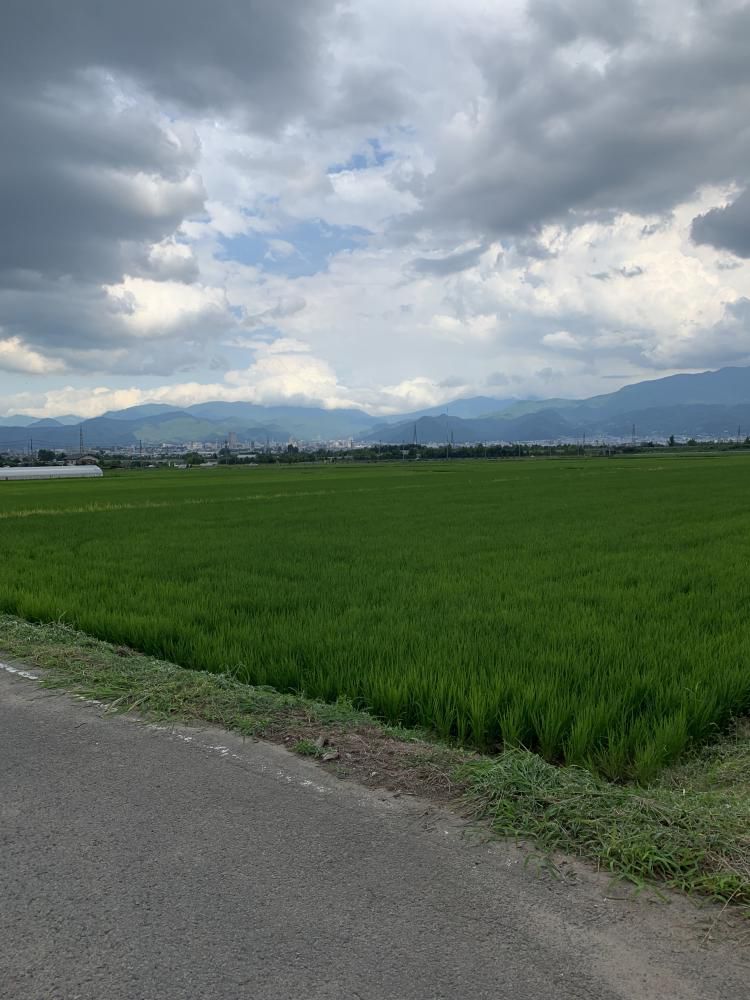 草刈り