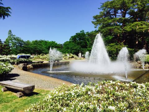 ’17白つつじ開花情報（5月19日）
