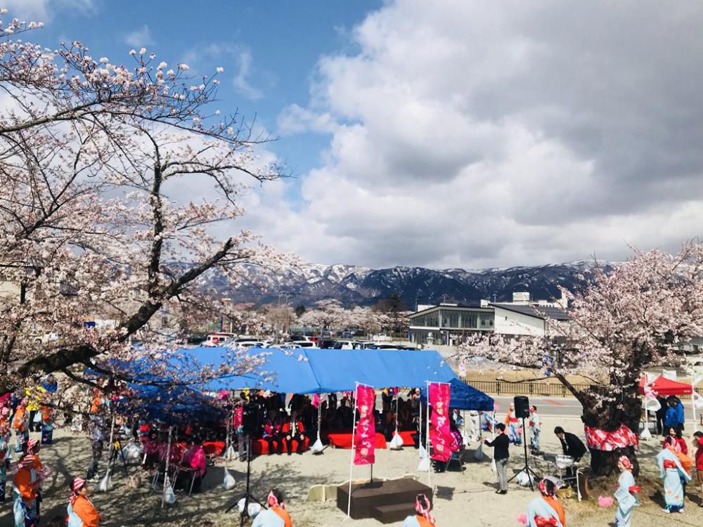 2018置賜さくら回廊オープニングセレモニー「花咲けイベント」開催しました！
