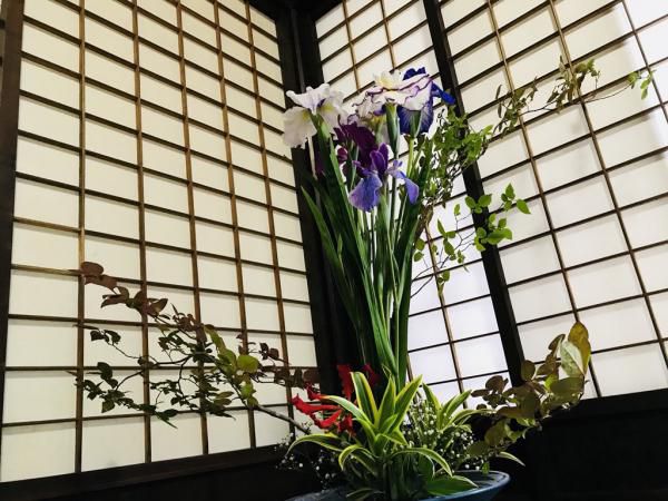 丸大扇屋で「あやめ大華展」が開催されました！