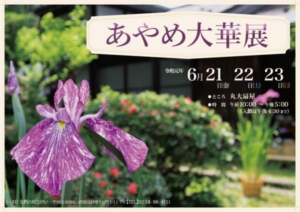あやめ大華展