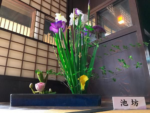 あやめ大華展が本日から開催されております！