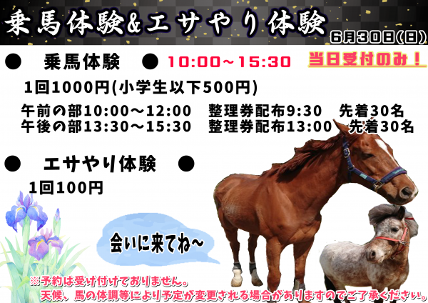【あやめまつり】乗馬体験&エサやり体験の詳細について