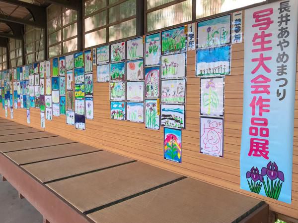 あやめ写生大会の作品展示を行っております！