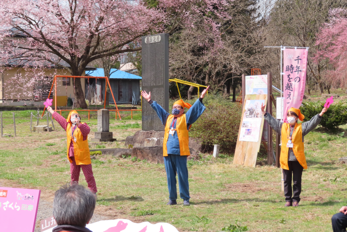 ’21 長井市内の桜開花情報（4月9日)