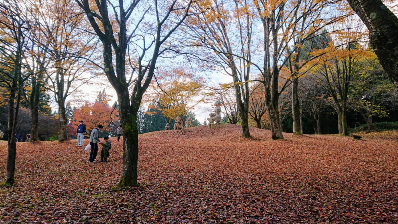 ’21 紅葉情報（11月4日)