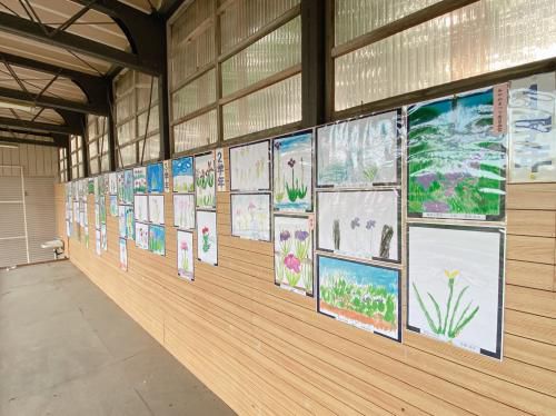 あやめ写生大会の作品展示を行っております！