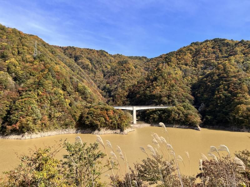 ’22 紅葉情報（10月25日)