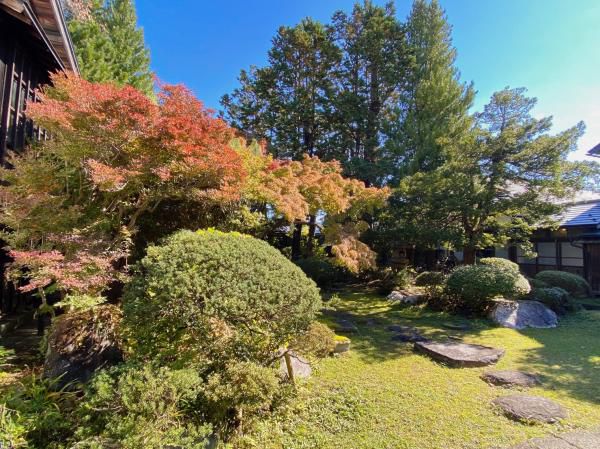 ’22 紅葉情報（10月28日)