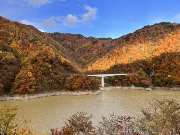’22　紅葉情報　(11月4日)