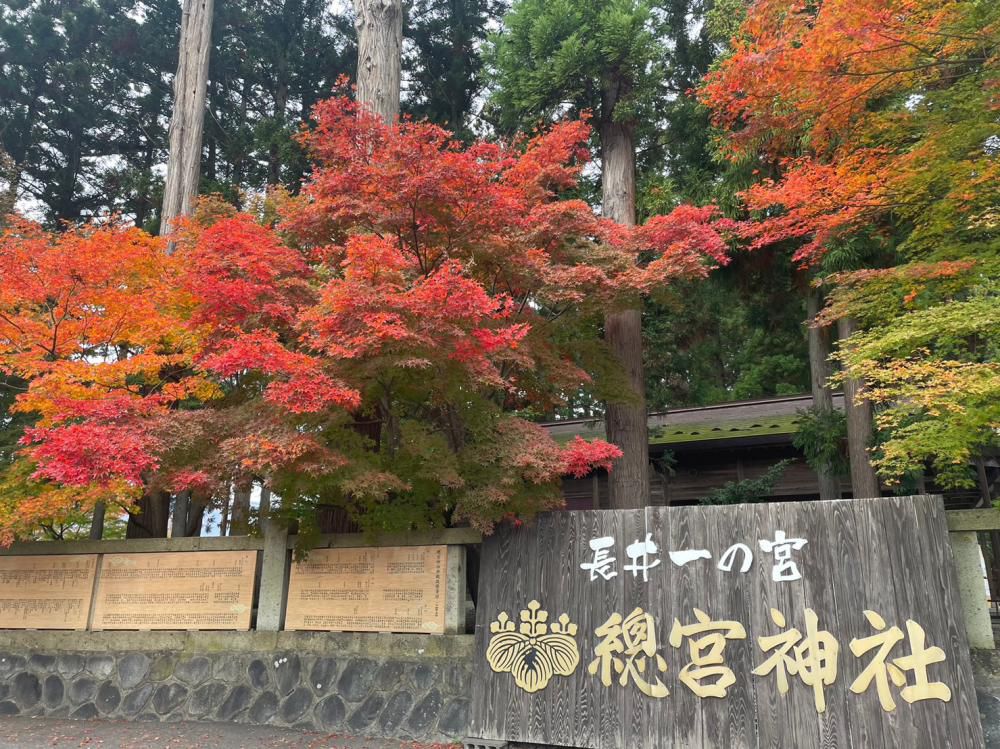 ’23　紅葉情報　(11月7日)