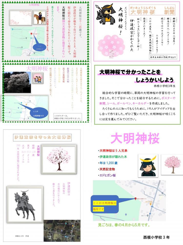 長井市立西根小学校３年生が制作！『草岡の大明神ザクラ』PRポスター・チラシ＆グッズ
