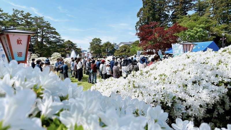 白つつじまつり オープニングセレモニーが開催されました！