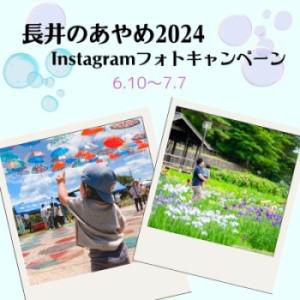 「長井のあやめ2024」Instagramフォトキャンペーン