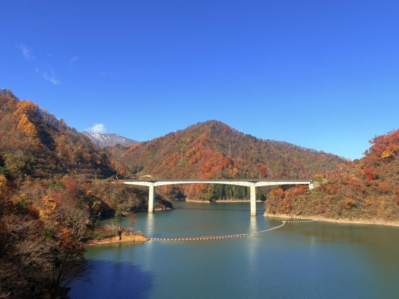 ’25 紅葉情報 (11月14日)