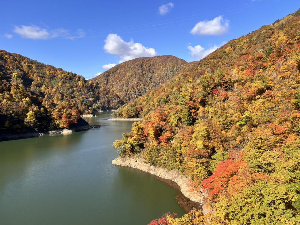 ’25 紅葉情報 (11月4日)