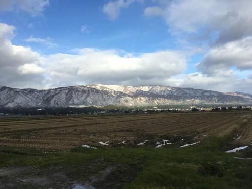 白鳥がきて、葉山は白衣