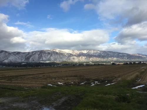 白鳥がきて、葉山は白衣