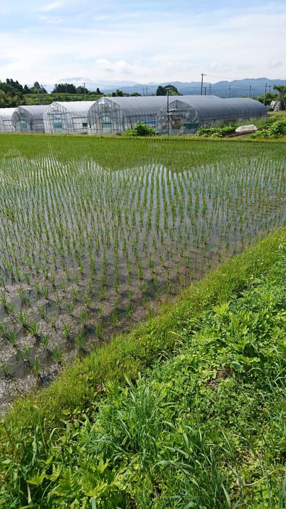 更なる卓越