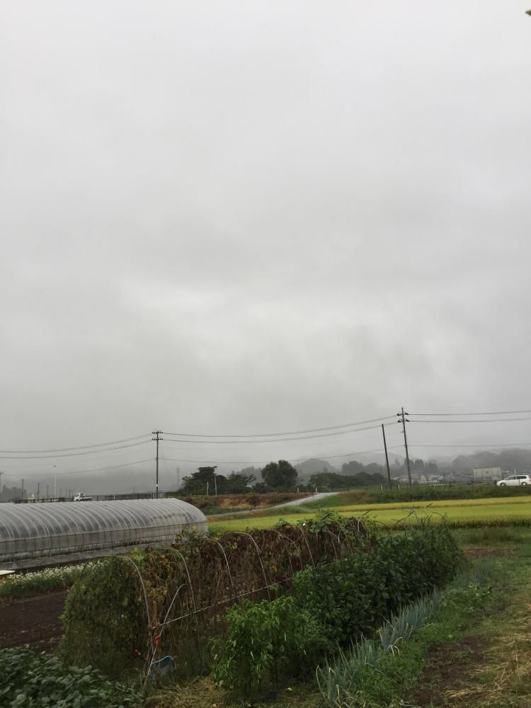 おはようございます。