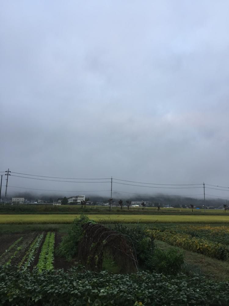 天気