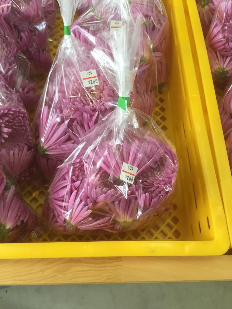 弁天(食用菊)