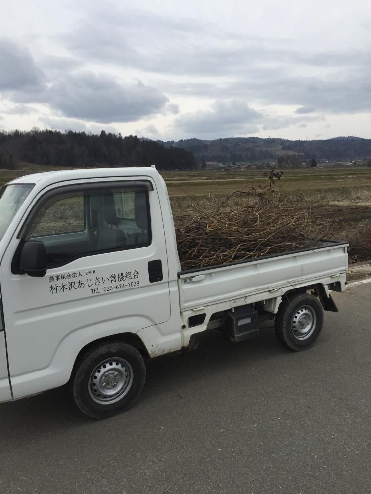 ジャガイモ畑整地