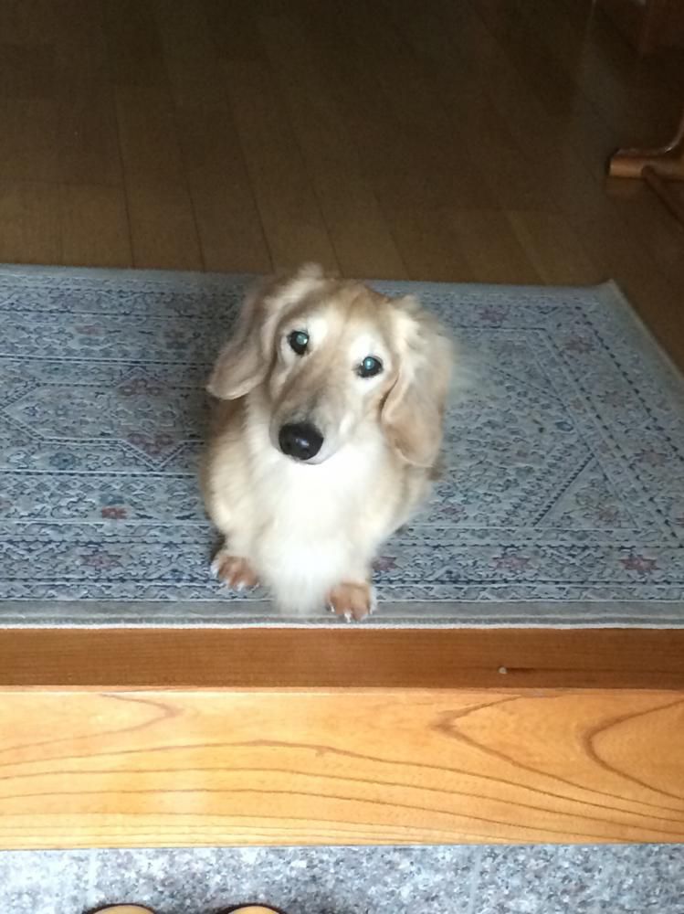 お見送りU^ェ^U