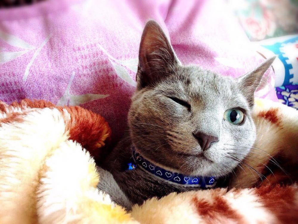 ウインク