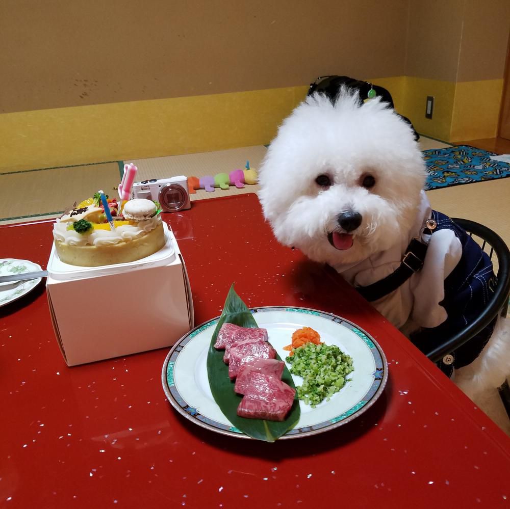 1歳のお誕生日