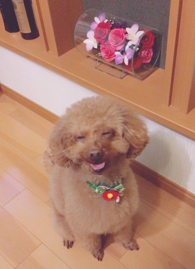 えへへ
