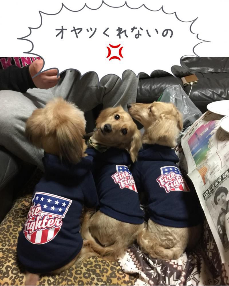 早く～！