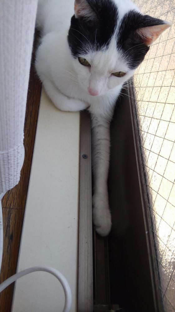 日向ぼっこ