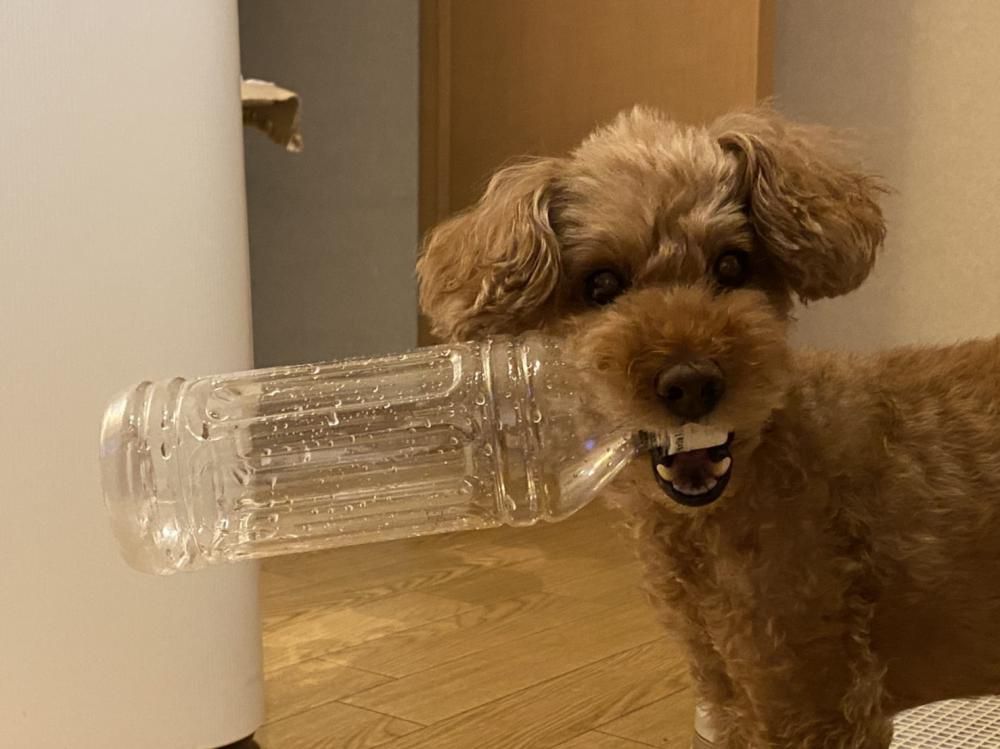 なんか飲みたいなぁ