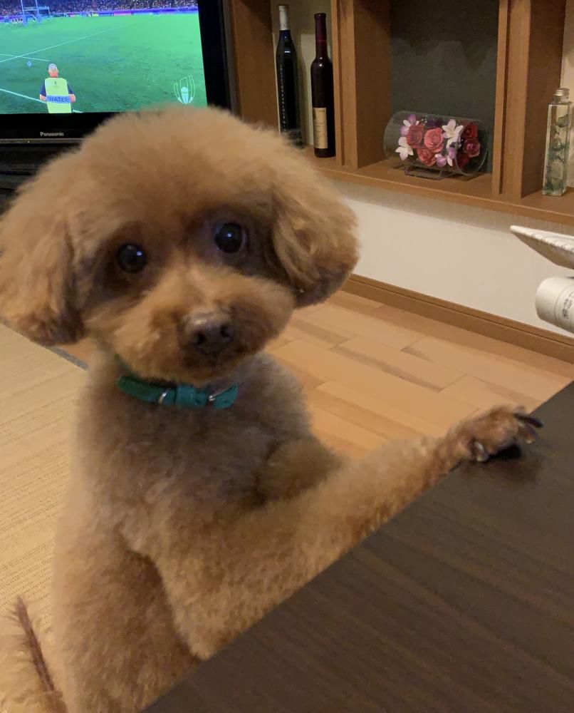おひさしぶりでーす