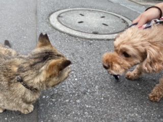 あんた誰？？