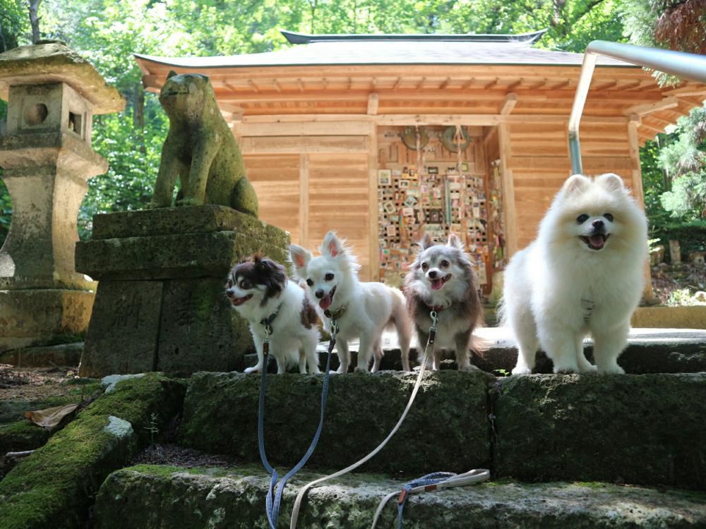 犬の宮