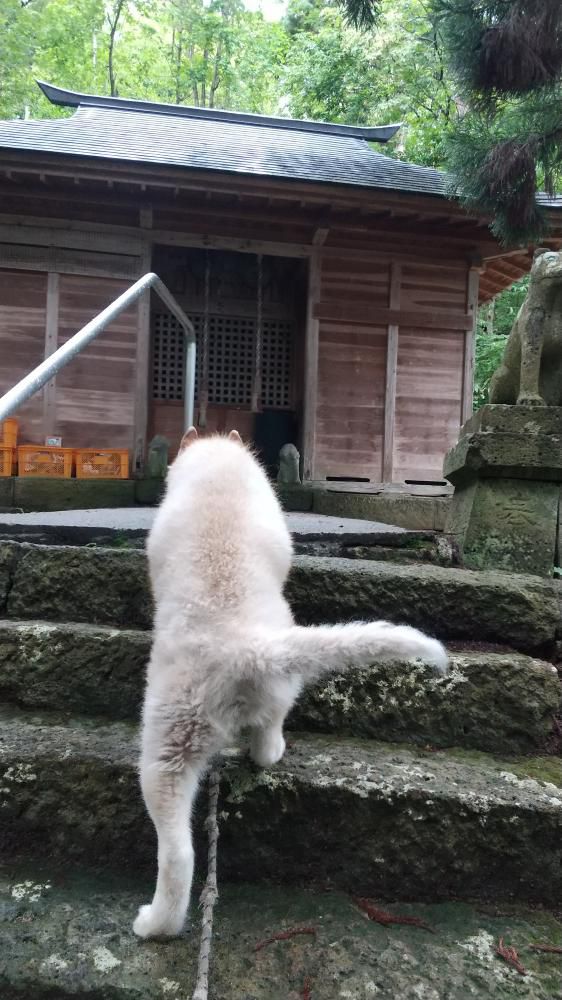 どっこいしょ