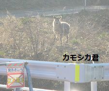 暑くない気仙沼