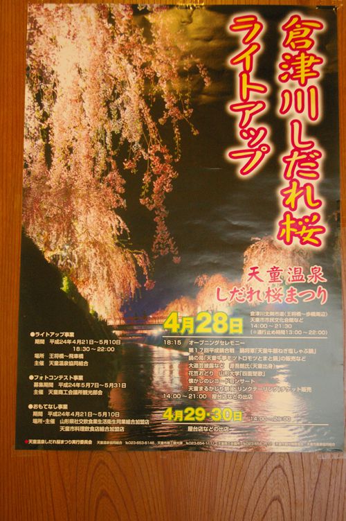 天童温泉　倉津川しだれ桜ライトアップ