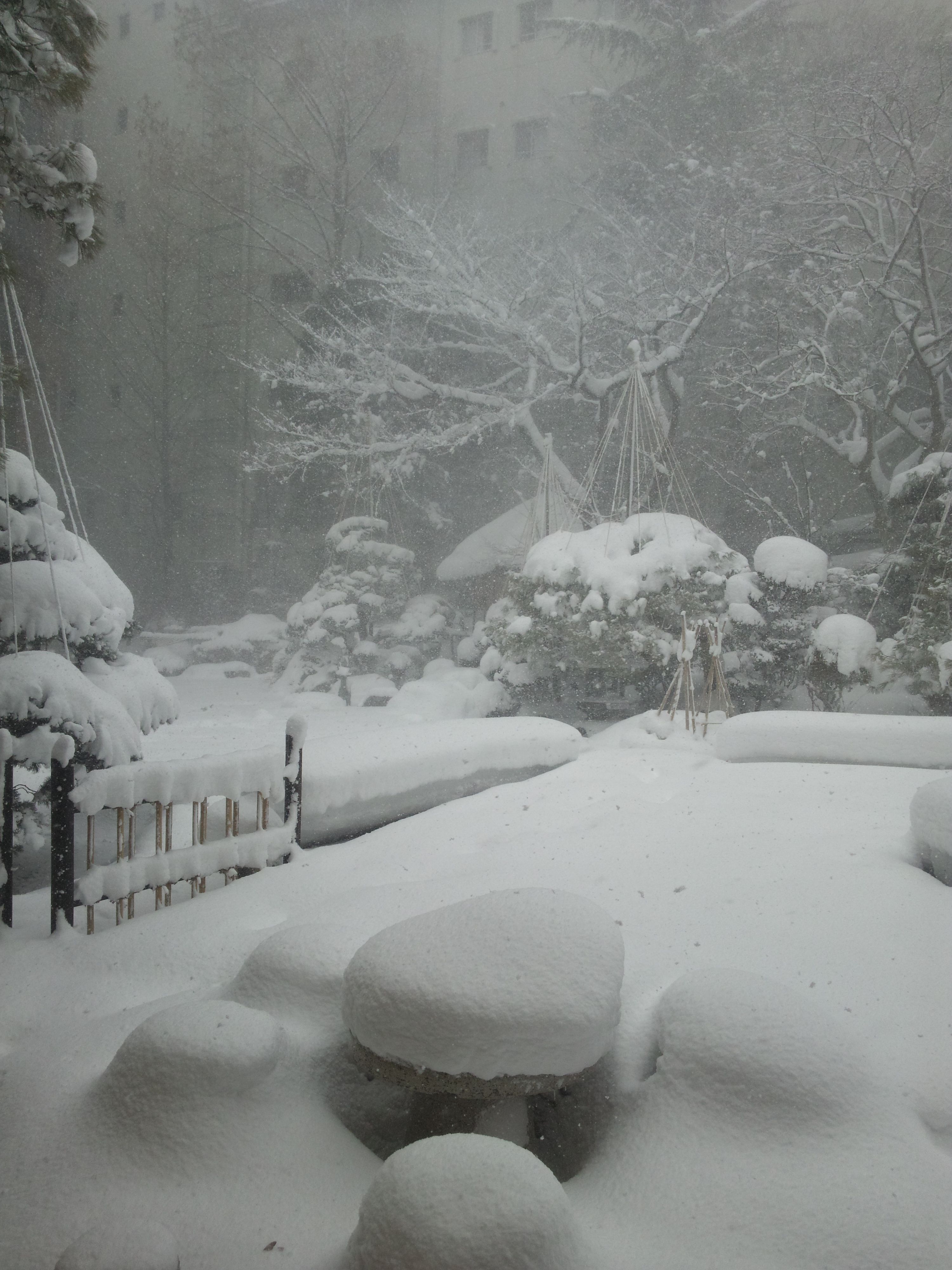 雪・・ユキ・・ゆき・・・