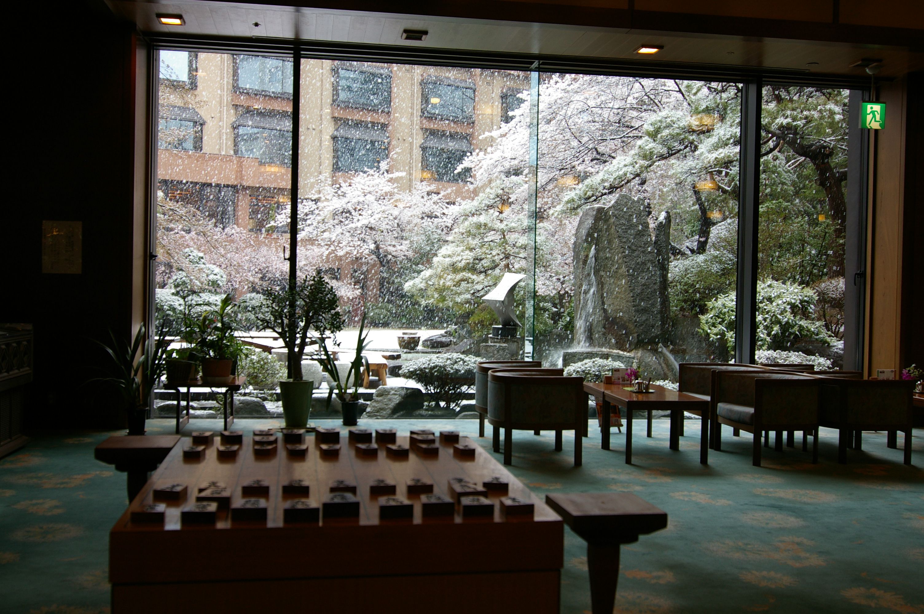 まさかの雪です・・