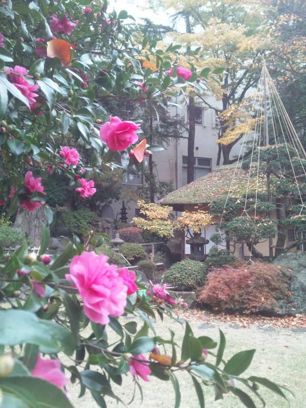 寒さに負けず