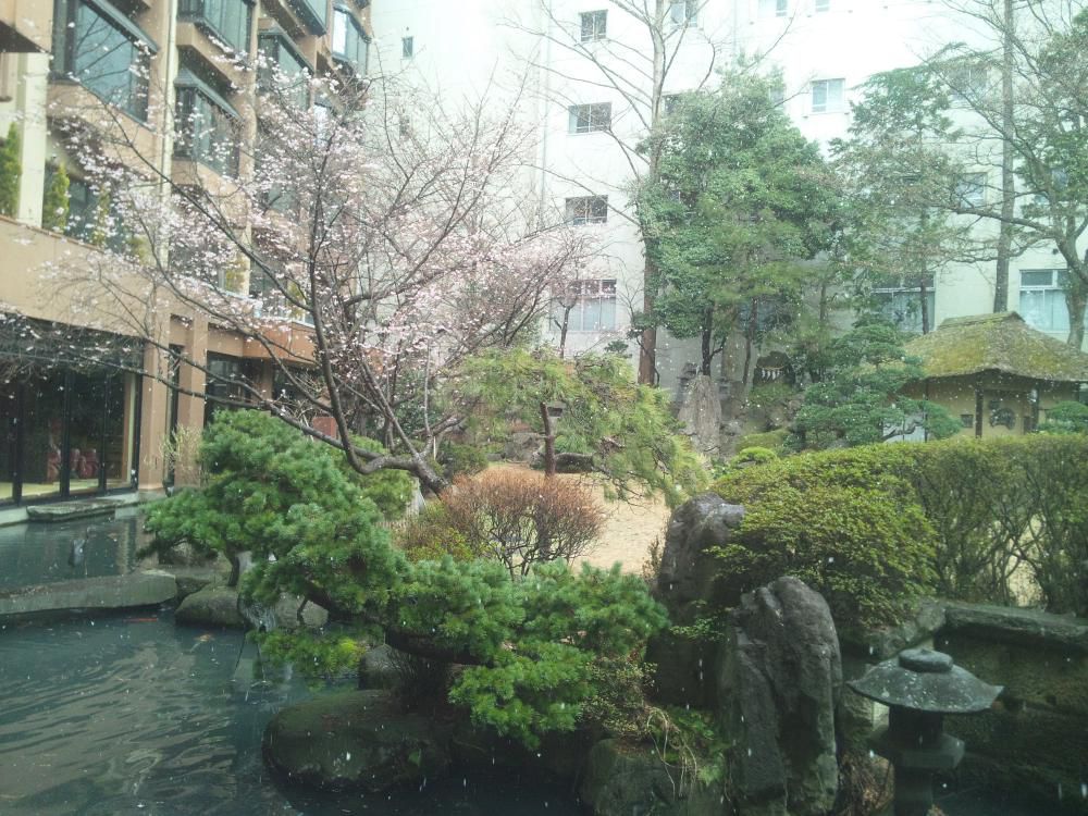 今年もです…