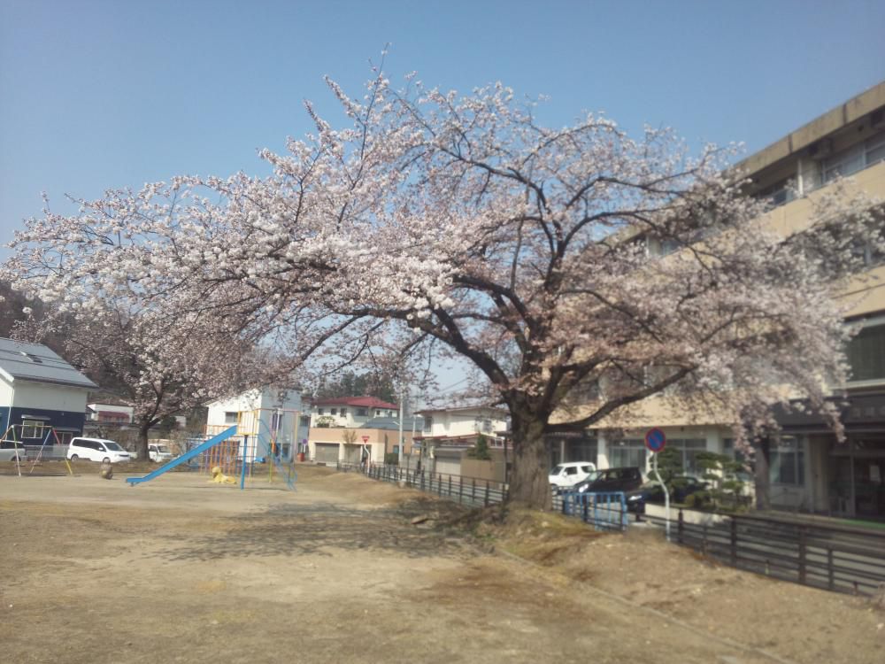 山形にも春が来ました