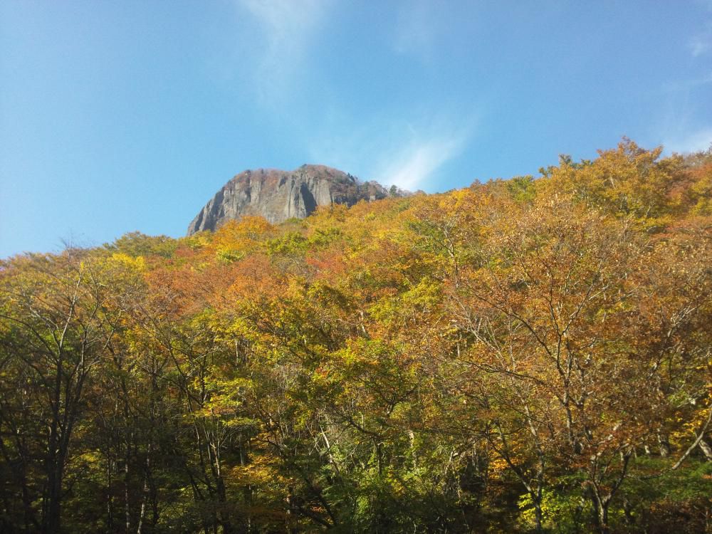 紅葉
