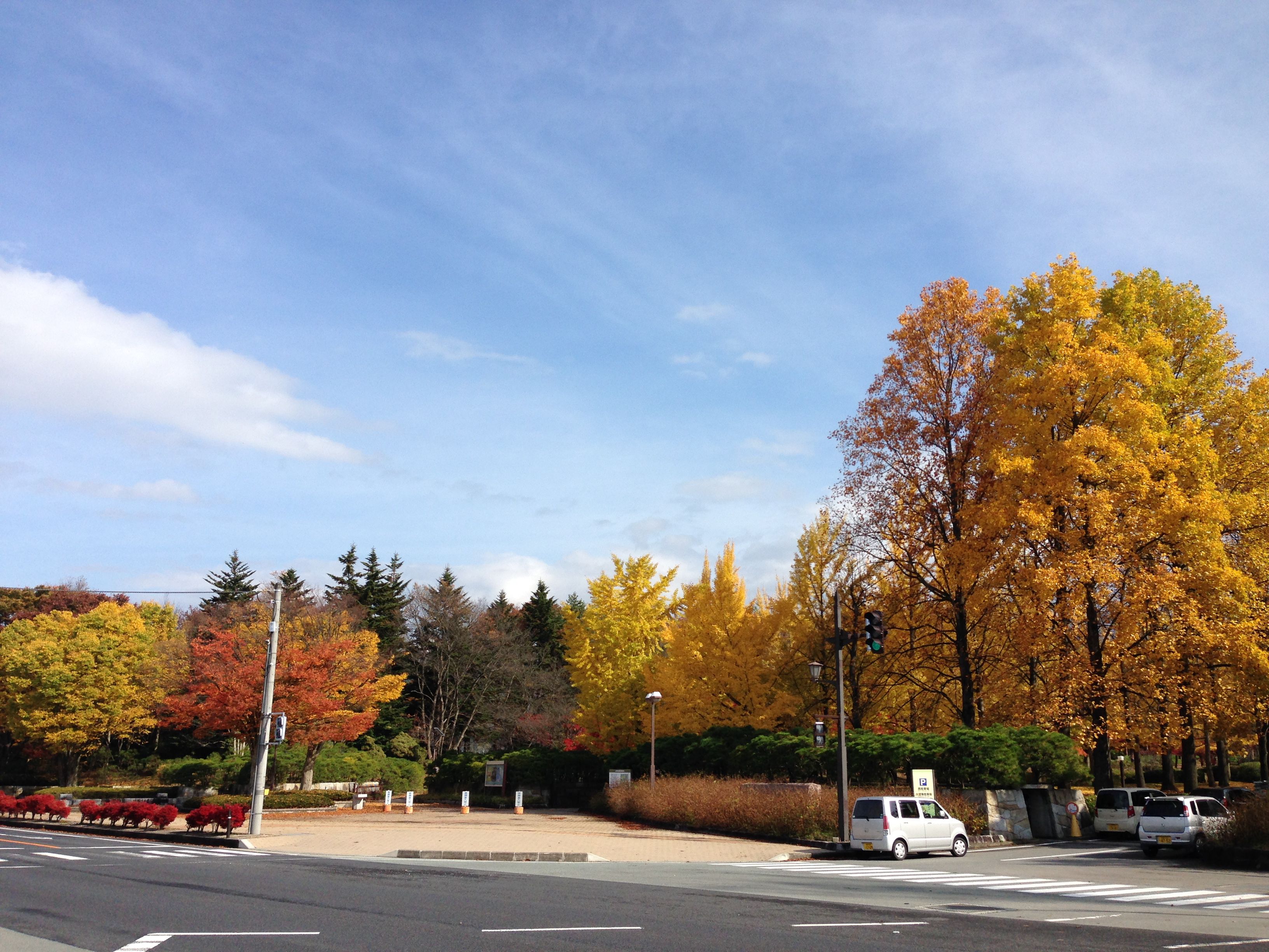 天童の紅葉