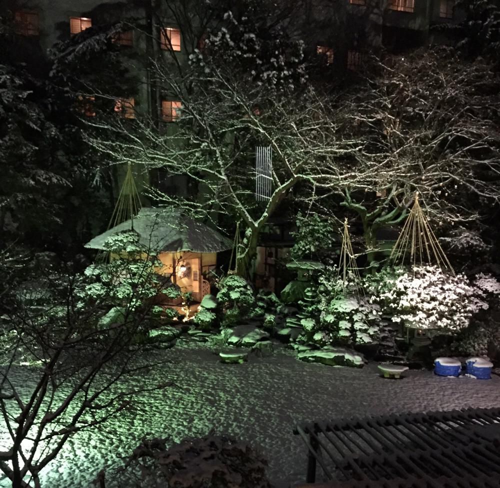 雪景色