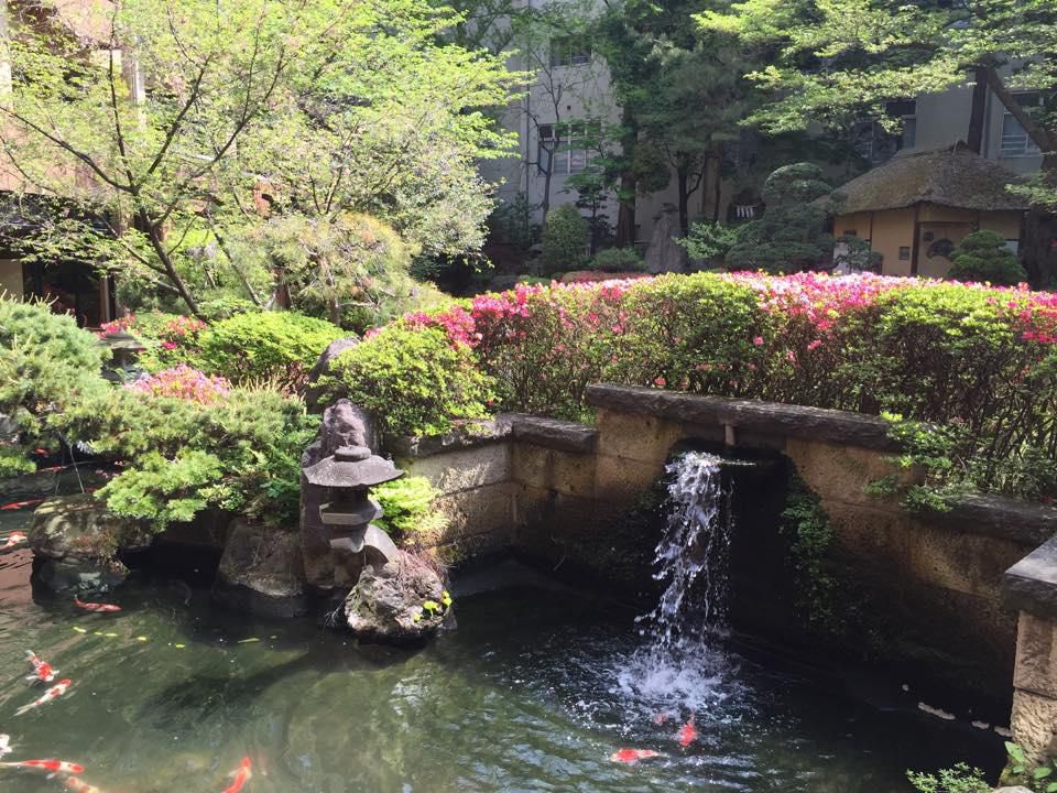 今日がら５月